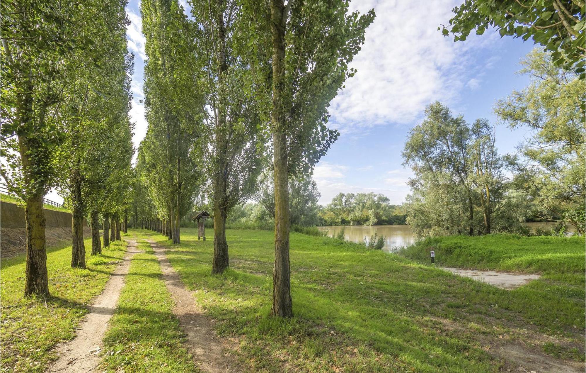Awesome Home In Ariano Nel Polesine With Kitchen San Basilio 部屋 写真